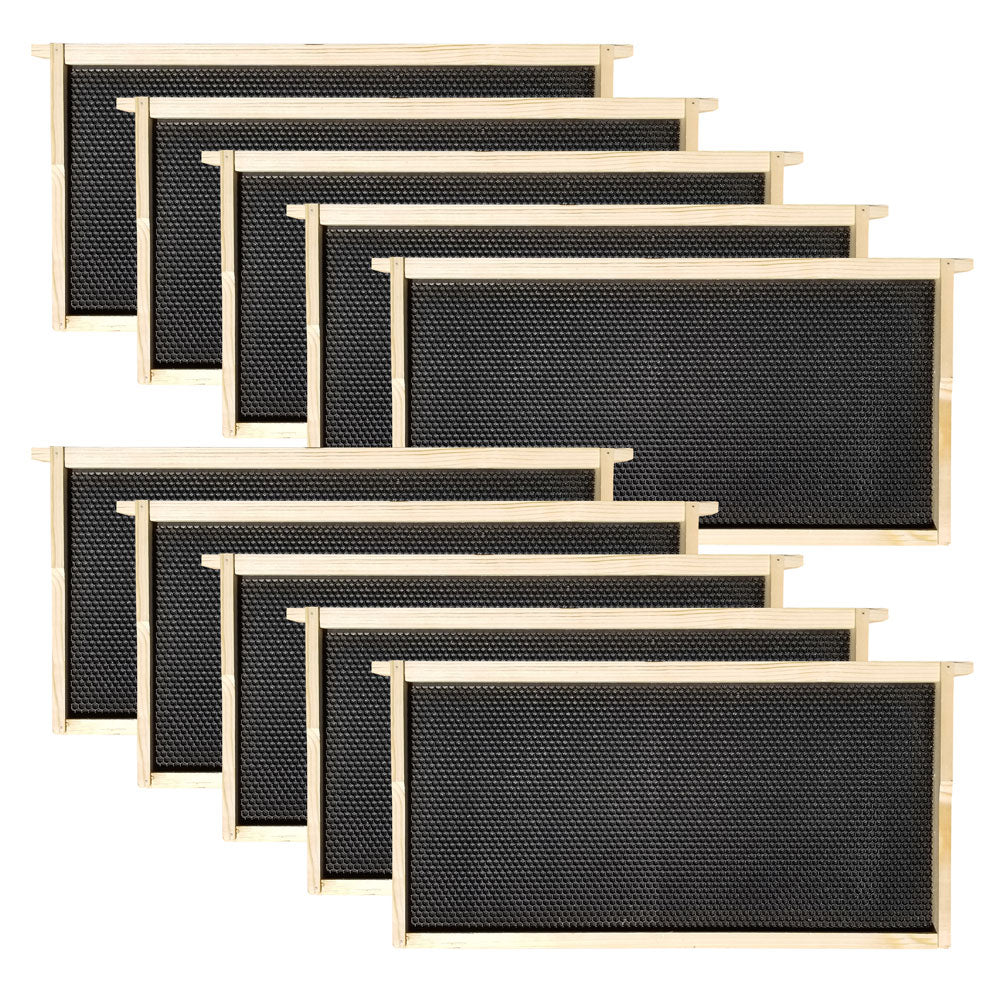 Wax-Coated 10 Frame Beehive - (1)Deep & (3)Mediums