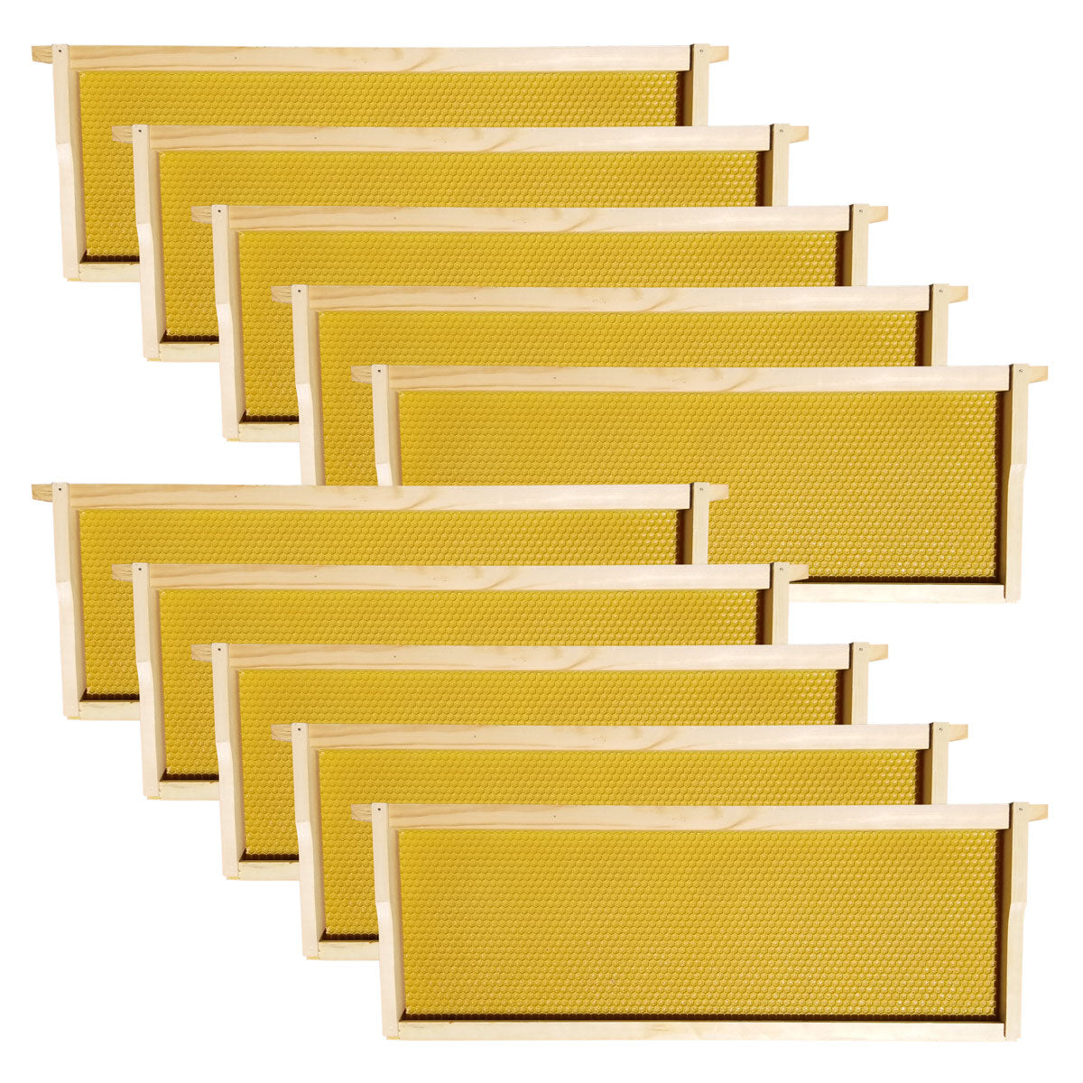 Wax-Coated 10 Frame Beehive - (2)Deeps & (4)Mediums