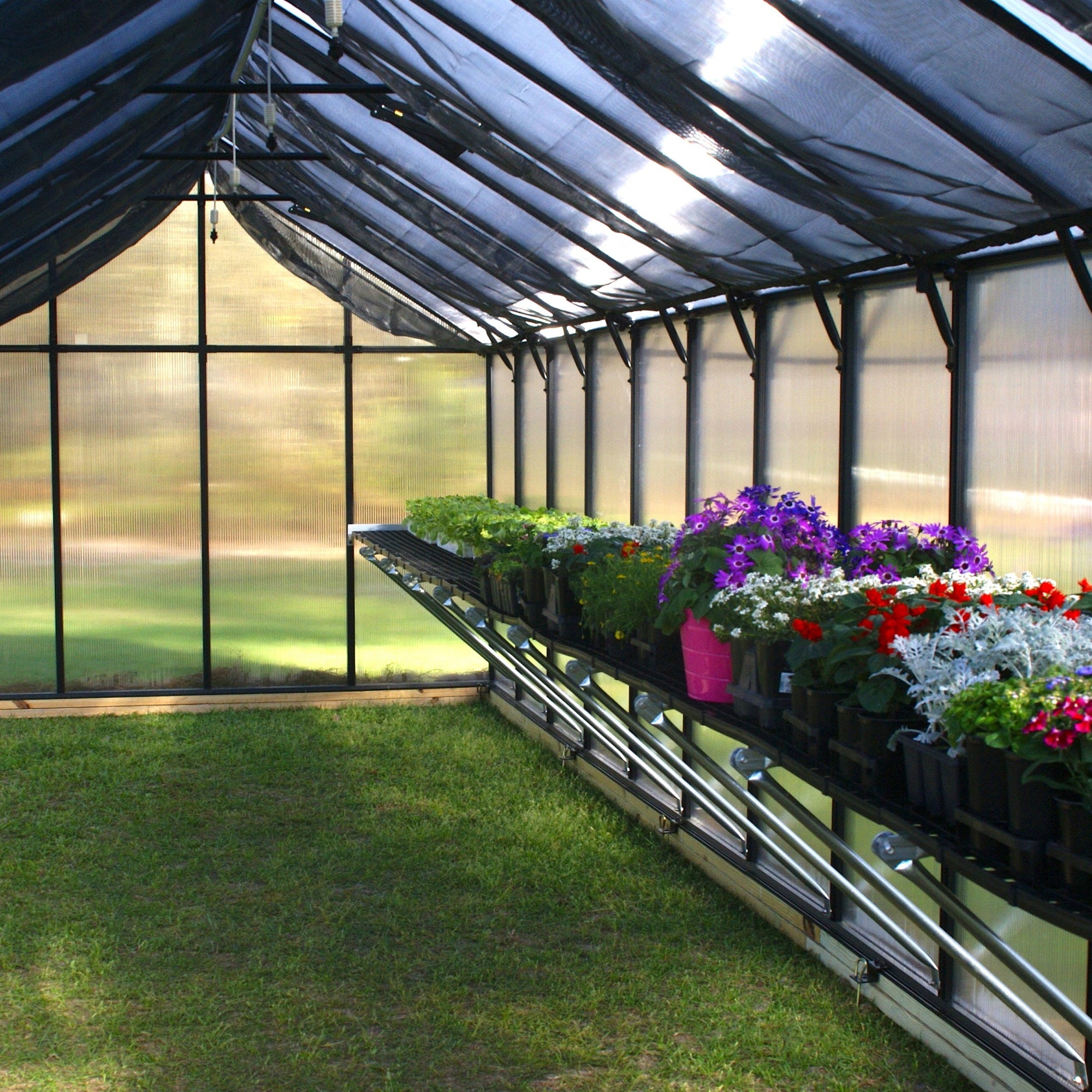 MONT Premium Greenhouse – Black Finish