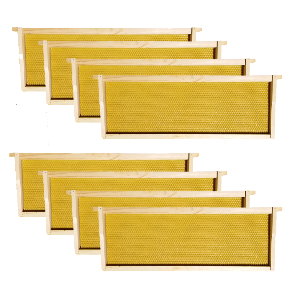 Wax-Coated 8 Frame Beehive - (2)Deeps & (4)Mediums