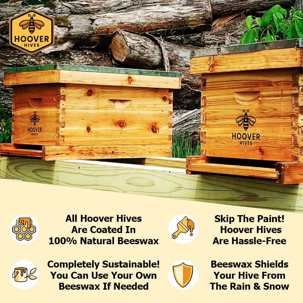 10-Frame Wax-Coated Beehive Kit – (2) Deep & (1) Medium Unassembled | Hoover Hives® Original Beeswax Finish