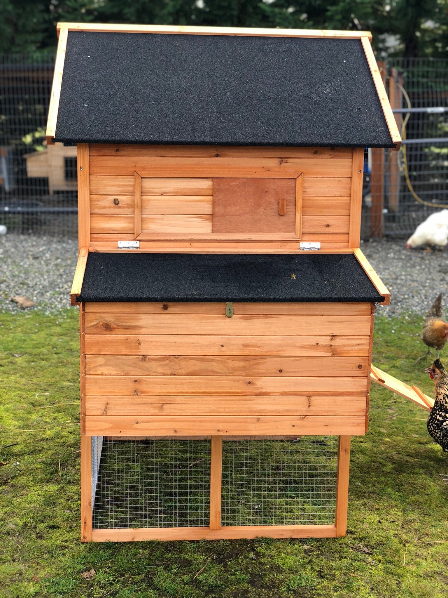 Resort chicken coop house-limited houses available!   IN-STOCK