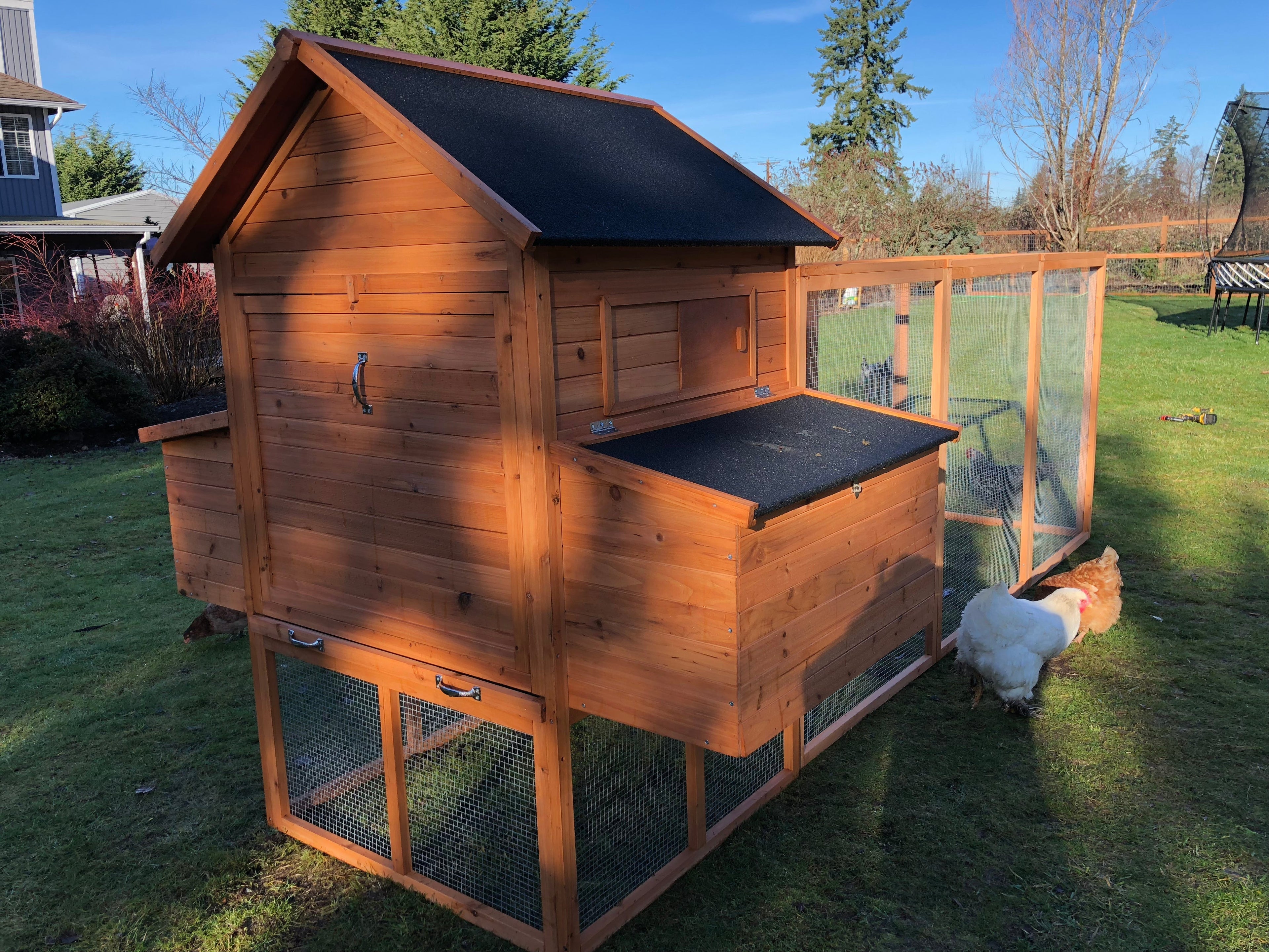 Resort chicken coop house-limited houses available!   IN-STOCK