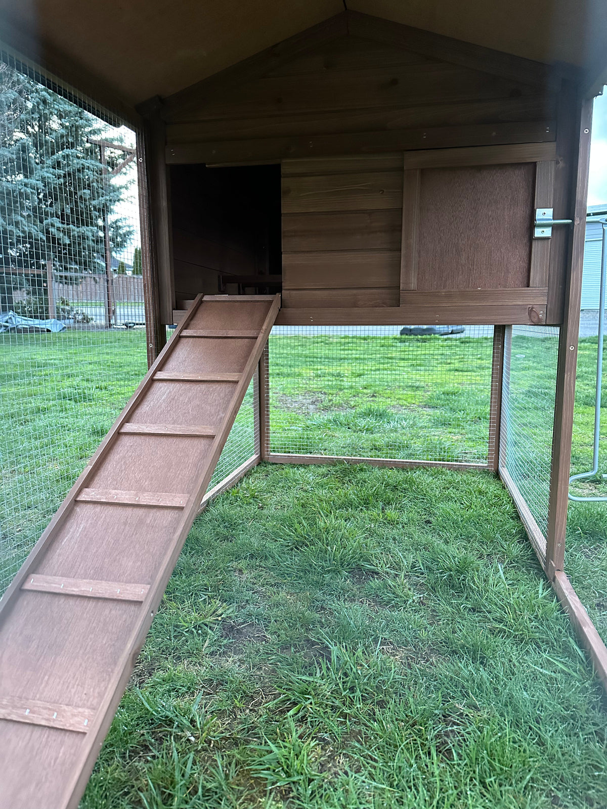 The LODGE Coop. New color and size! IN-STOCK.  ONLY 1 left
