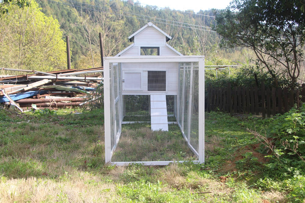 The Homestead House and Run!   Pre-sale April delivery