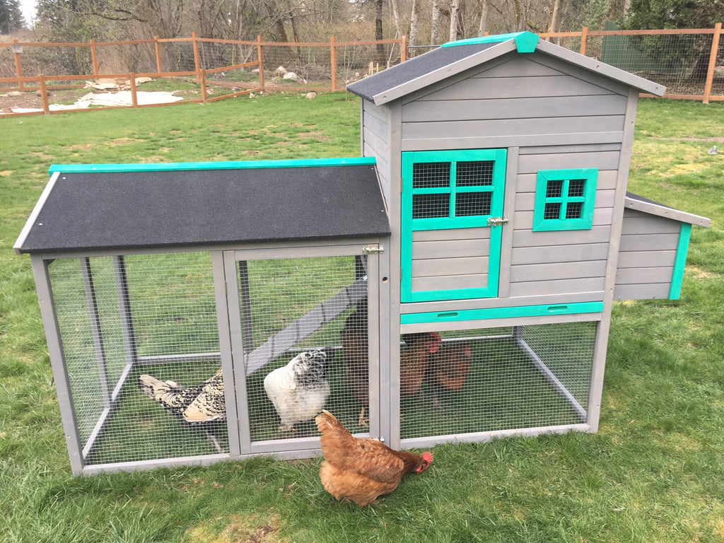 The LODGE Coop. New color and size! IN-STOCK.  ONLY 1 left