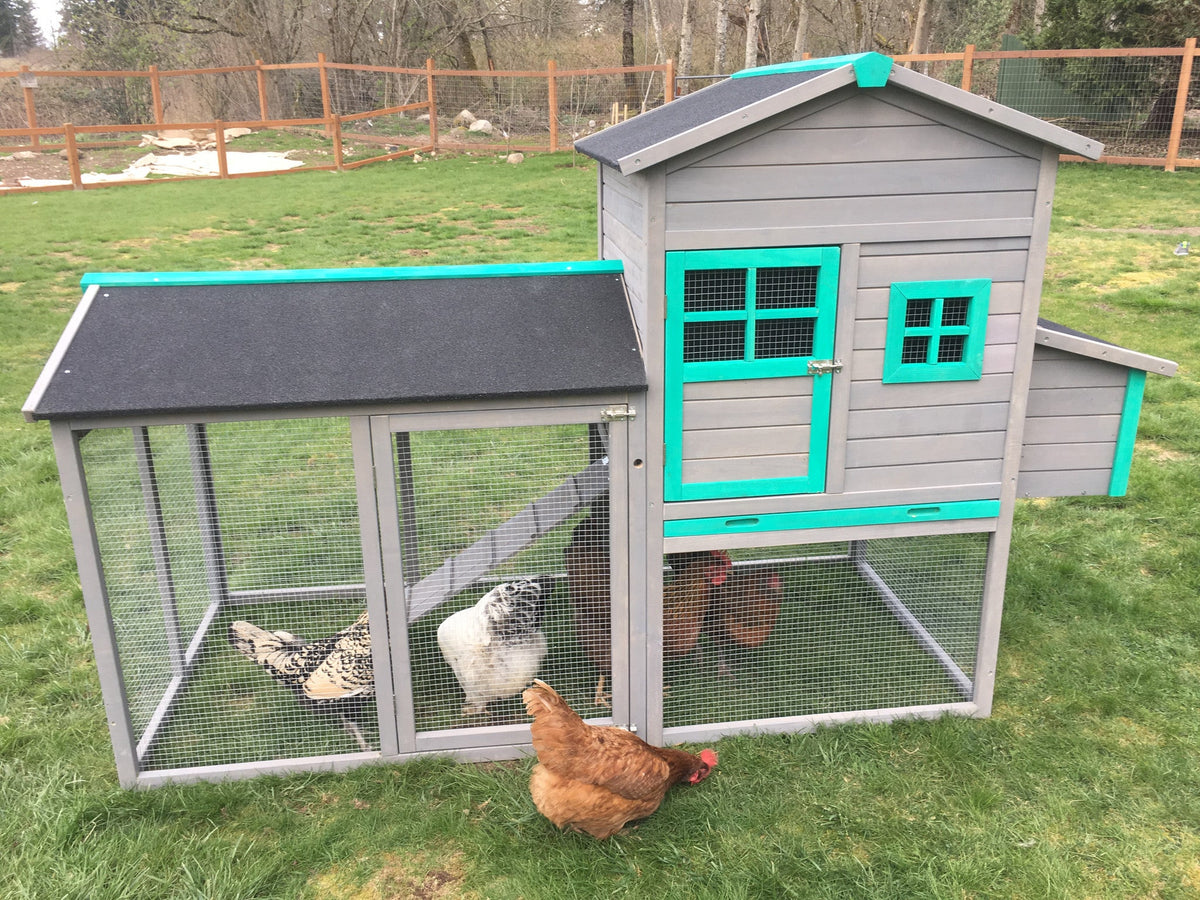 The LODGE Coop. New color and size! IN-STOCK.  ONLY 1 left