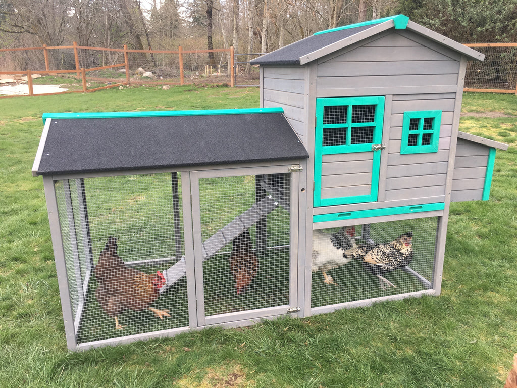 The LODGE Coop. New color and size! IN-STOCK.  ONLY 1 left