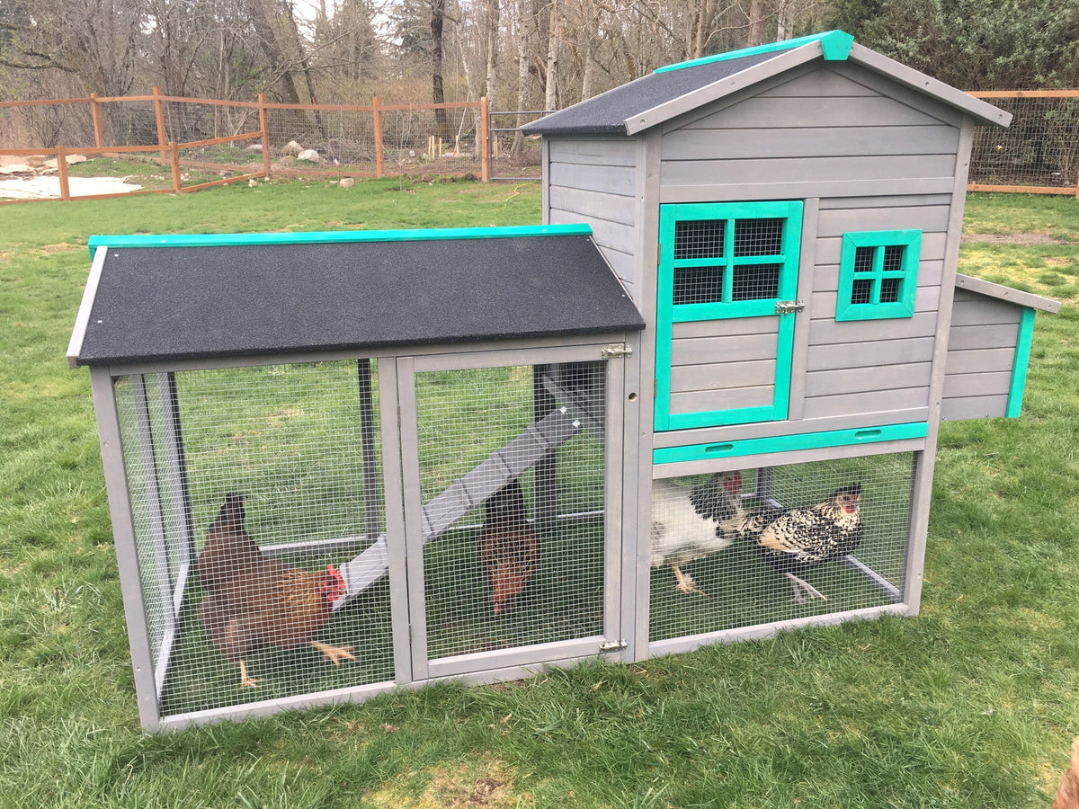 The LODGE Coop. New color and size! IN-STOCK.  ONLY 1 left