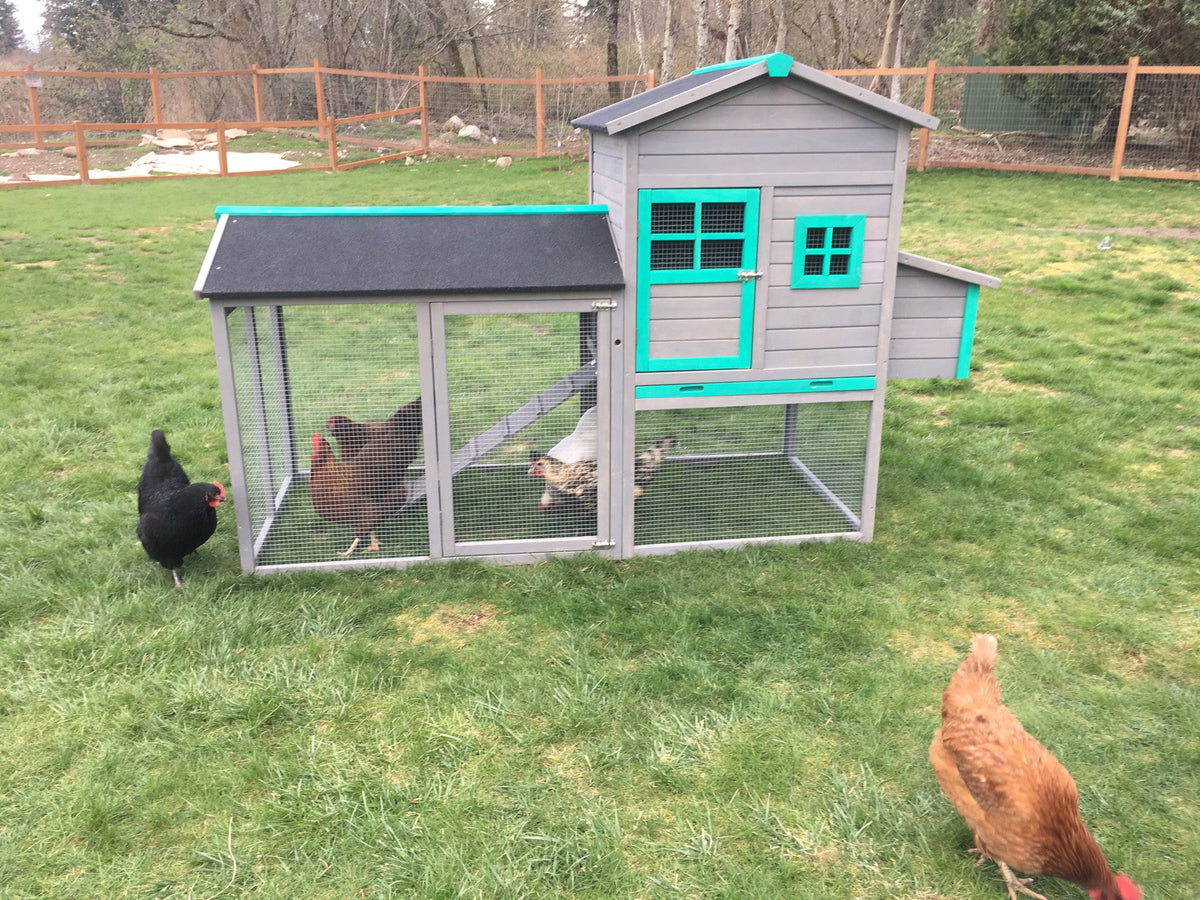 The LODGE Coop. New color and size! IN-STOCK.  ONLY 1 left
