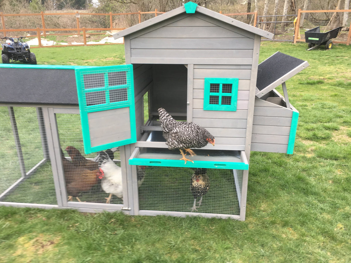 The LODGE Coop. New color and size! IN-STOCK.  ONLY 1 left