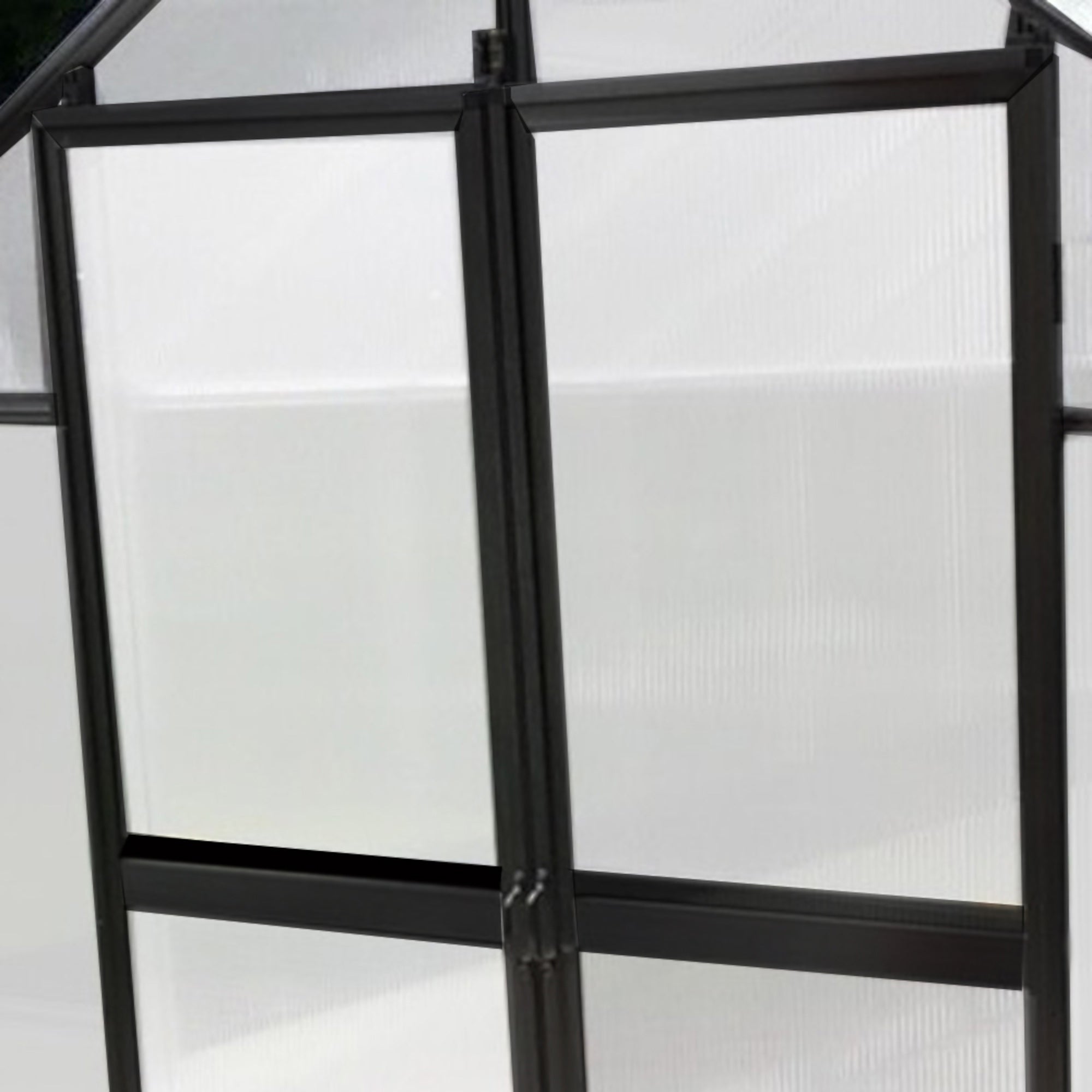 MONT Growers Edition Greenhouse – Black Finish