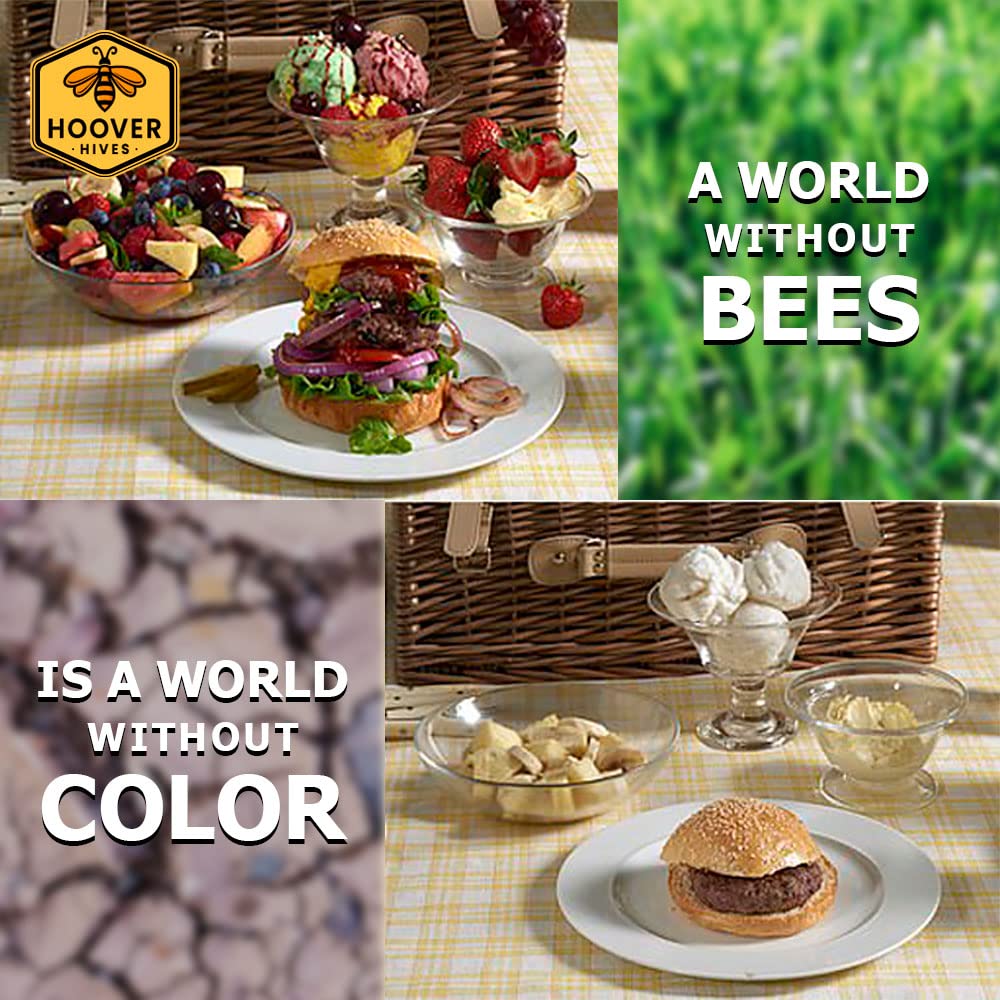 8-Frame Wax-Coated Beehive Kit – (2) Deep & (1) Medium Unassembled | Hoover Hives® Original Beeswax Finish