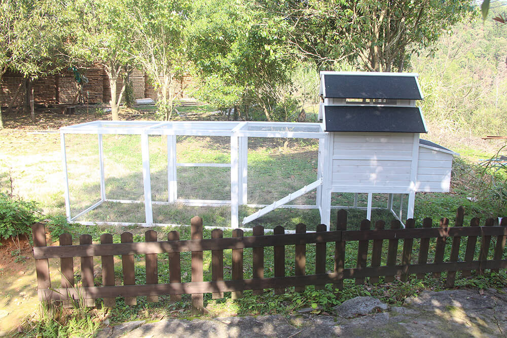 The Homestead House and Run!   Pre-sale April delivery