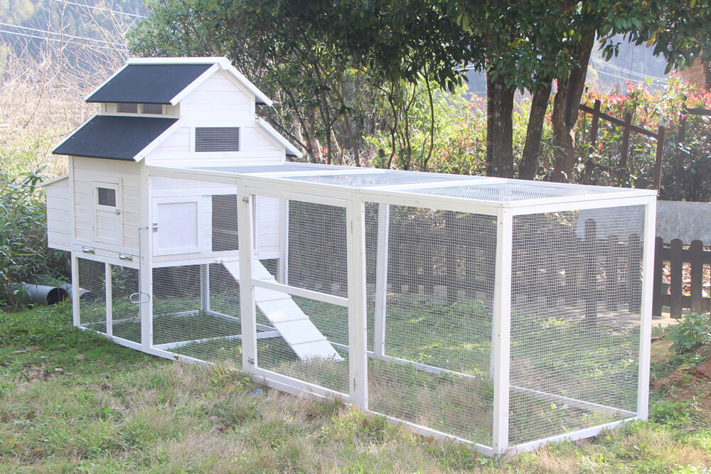 The Homestead House and Run!   Pre-sale April delivery
