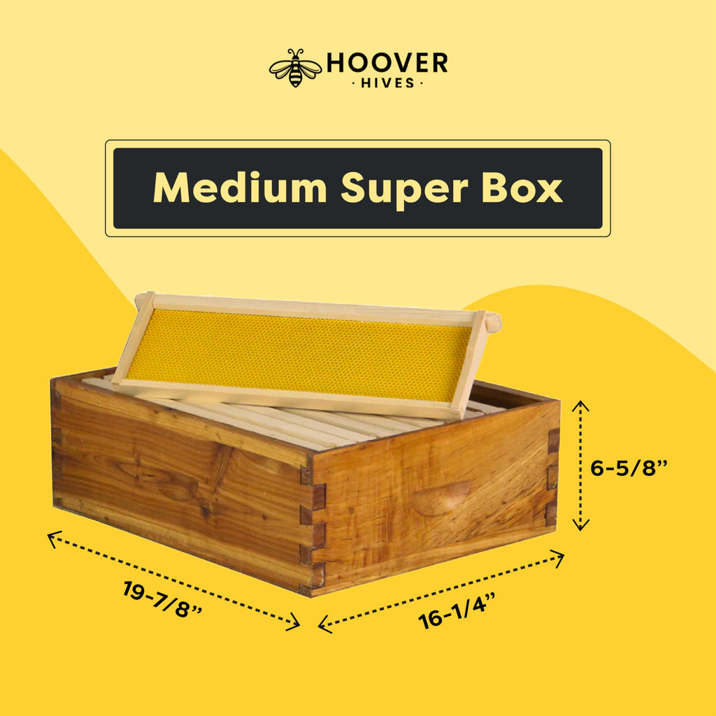 10-Frame Wax-Coated Beehive Kit – (2) Deep & (1) Medium Unassembled | Hoover Hives® Original Beeswax Finish