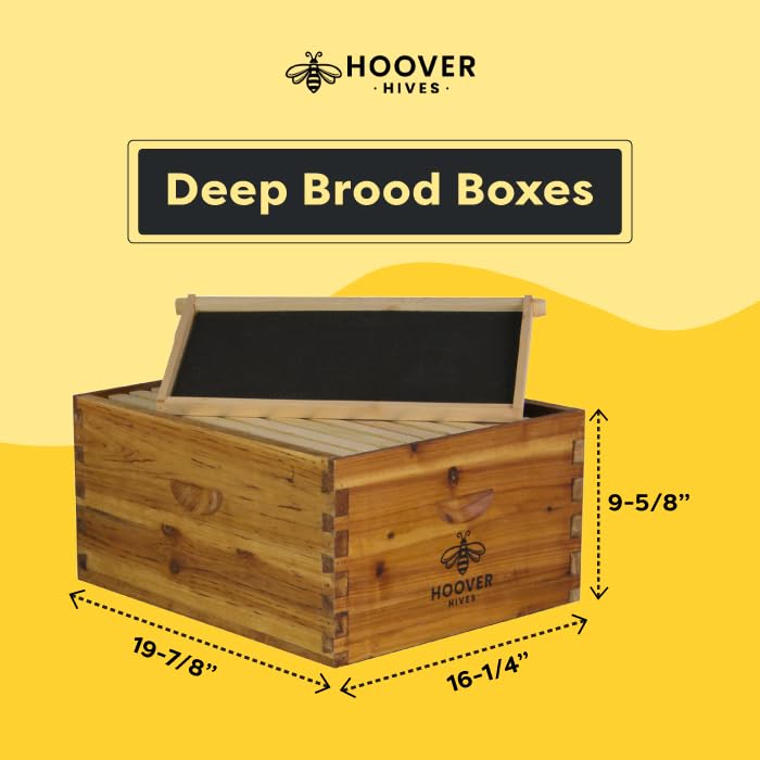 10-Frame Wax-Coated Beehive Kit – (2) Deep & (1) Medium Unassembled | Hoover Hives® Original Beeswax Finish