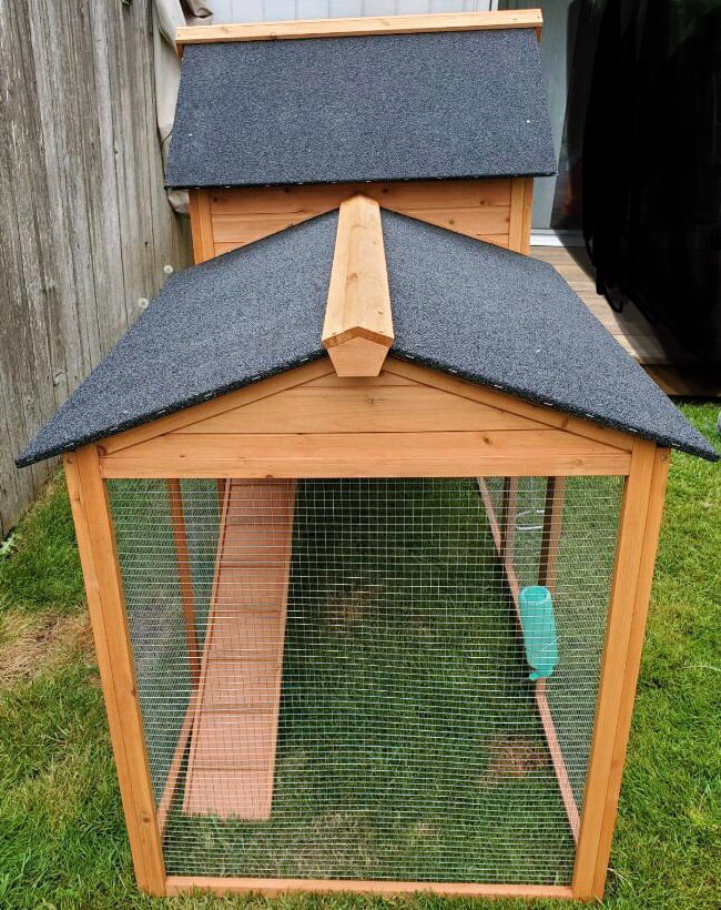 The LODGE Coop. New color and size! IN-STOCK.  ONLY 1 left